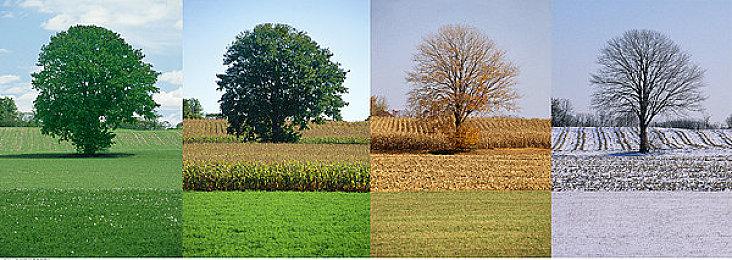 《死亡空间：重制版》官方新预告图 现可加入愿望单